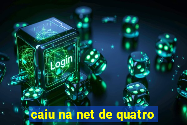 caiu na net de quatro